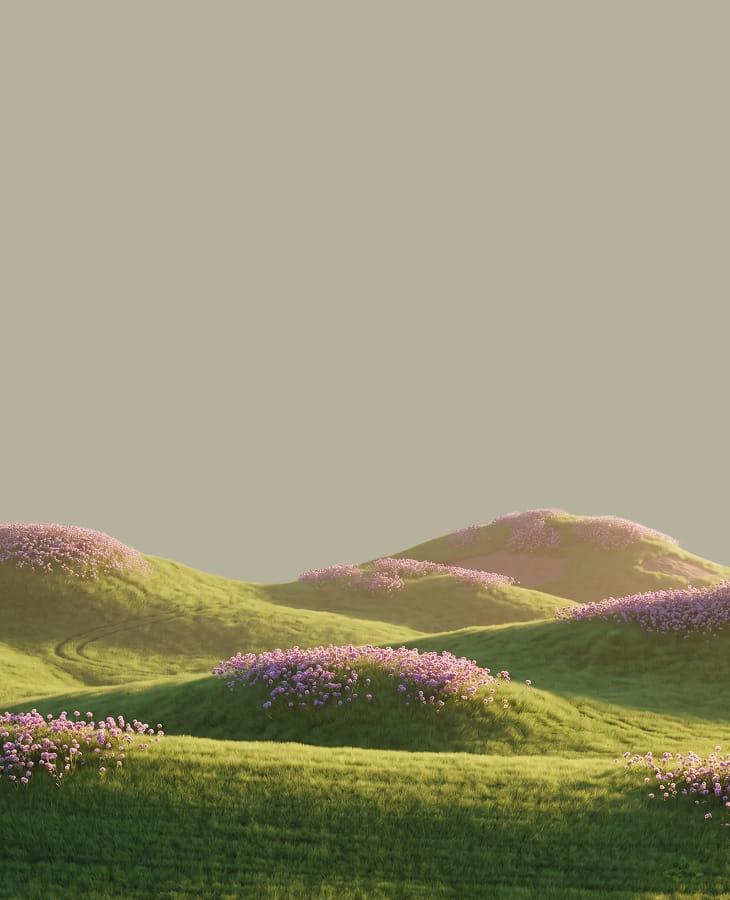 Flowering hills at first light — go-live day, when the product ships and the week ends in market.